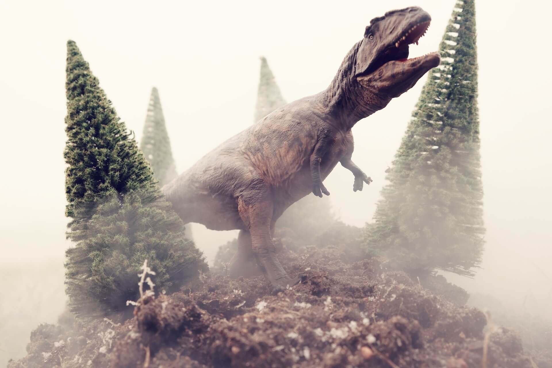 dinosaur