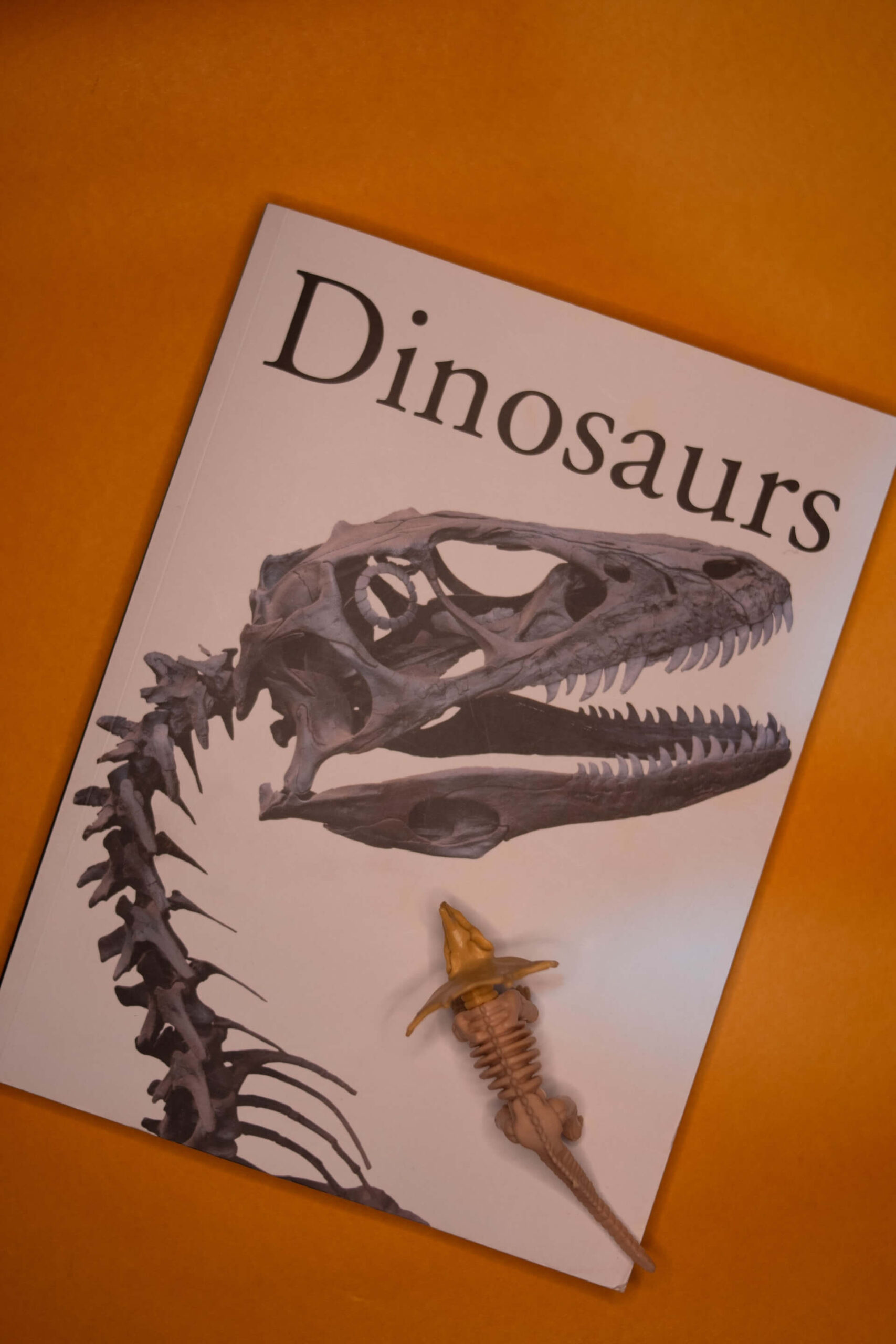 dinosaur