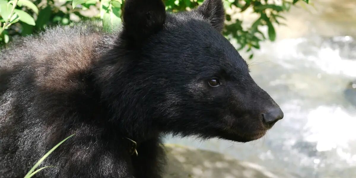 Buzzwords Awards2025 7