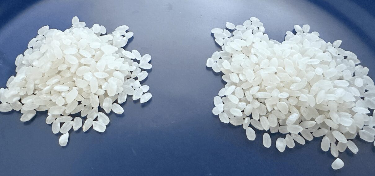 Buzzwords Awards2025 9